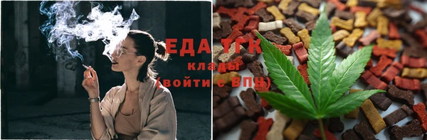 скорость Новозыбков