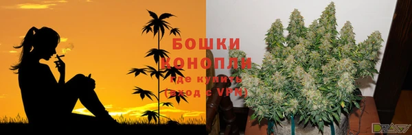 мдма Новодвинск